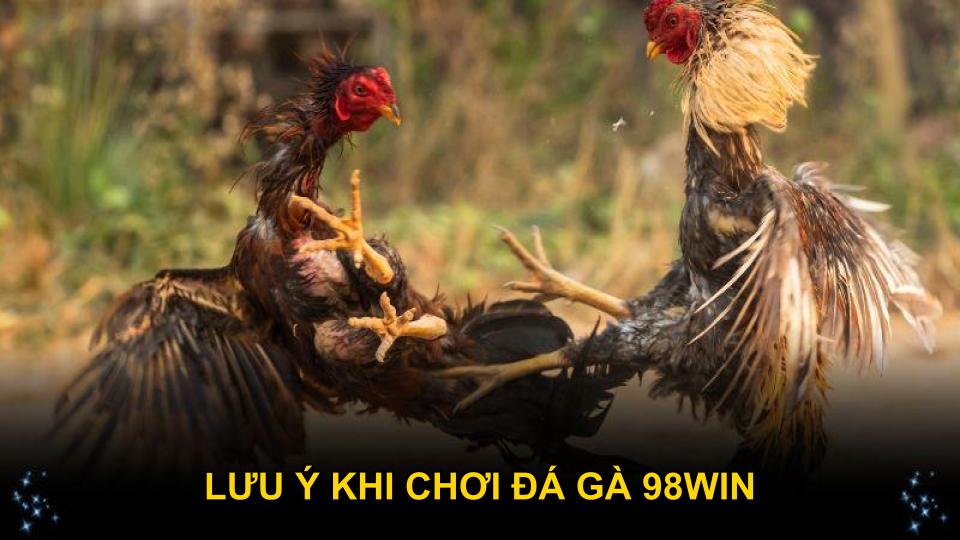 Lưu ý khi chơi đá gà 98WIN giúp bảo vệ quyền lợi